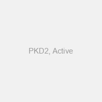 PKD2, Active